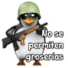 No se permiten groserias 205 205
