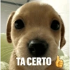 TA CERTO