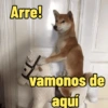 Frases perrunas cool 5
