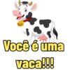 Animais com duplo sentido 12