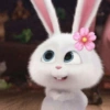 Bad bunny 🐰 7