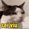sei viu