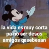 la vida es muy corta pa no ser desos amigos qesebesan
