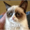 Talking cat 12