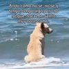 😎 STICKERS SHITPOST 18 🤙 9