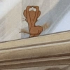 Jerry 24