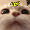 eu?