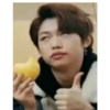 Stray Kids mis papus 13