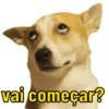 Cachorrinhos  5