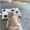 TURU