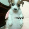 RESPOSTAS RÁPIDAS 9