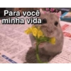 Para você minha vida 99 3214 ICT トナム