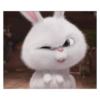 Bad bunny 🐰 16