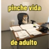 Frases perrunas cool 8