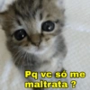 Pq vc só me maltrata ?