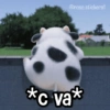 *c va*