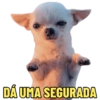 DÁ UMA SEGURADA
