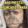 NÃO PRESTEI ATENÇÃO EM NADA