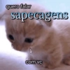 quero falar sapecagens @macintosh 1984 com vc