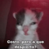 Costo, pero a que despierto?