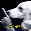 Não grita 🤫 2