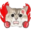 @KiwiBritishCat 11
