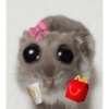 Hamster🎀 28