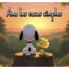 Amo las coses sir