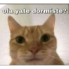 ola yate dormiste?