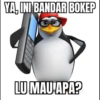 YA, INI BANDAR BOKEP LU MAU APA?