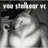 vou stalkear vc VOU