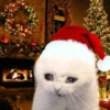 Moods natalinos - pets  15
