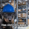 Memes 33 25