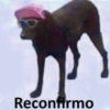 Reconfirmo