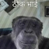 Denk hindi 6969 30