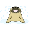 Mochi the pug 7
