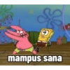 33
A
mampus sana