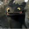 Toothless  19