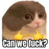 Can we fuck?