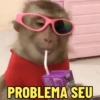 PROBLEMA SEU