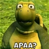 APAA?