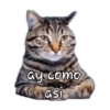 ay como asi