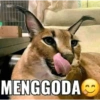 MENGGODA