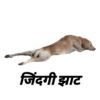 जिंदगी झाट
