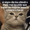 si algún día los ofendí o traté mal les pido que traten de mejorar para no volverlo a hacer