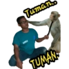 Tuman. TUMAN