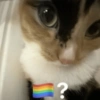?