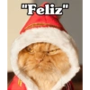"Feliz"