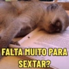 FALTA MUITO PARA SEXTAR?