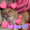 tu fan #1